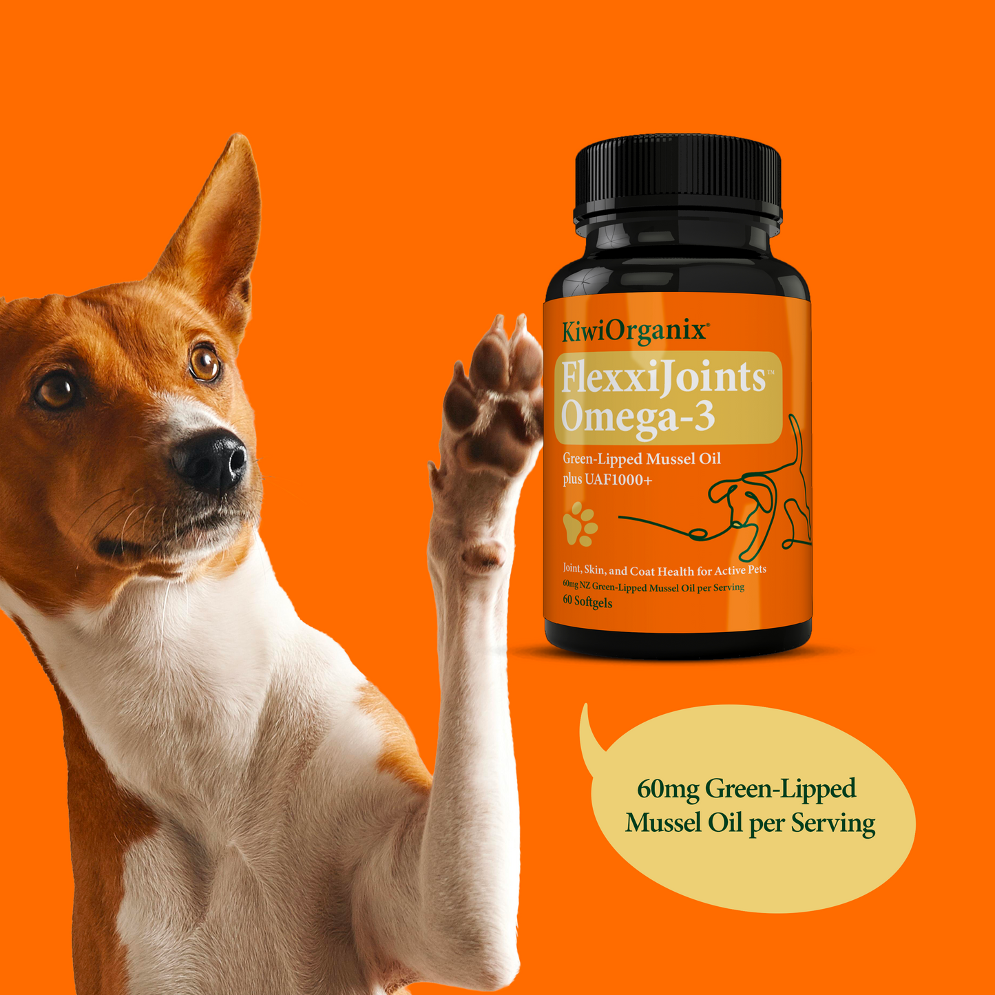 Green-Lipped Mussel Oil Omega-3 for Dogs