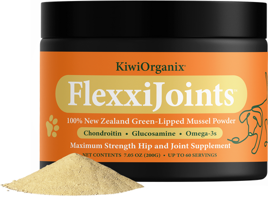 FlexxiJoints Powder 200g